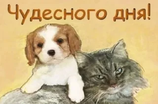 😉 emoji открыточки из одноклассников😍 Telegram sticker 11 of 45