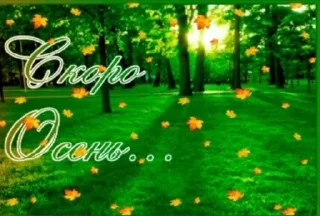 🍁 emoji открыточки из одноклассников😍 Telegram sticker 22 of 45