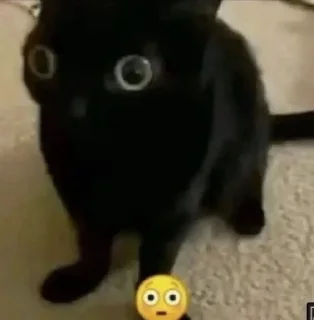 Sticker from MeMÎKaT