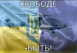 🇺🇦 emoji Democracy Bundle Telegram sticker 11 of 15