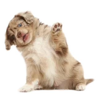 🤨 emoji 100% эмоции и ничего больше! Telegram sticker 21 of 67