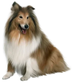 😍 emoji 100% эмоции и ничего больше! Telegram sticker 23 of 67