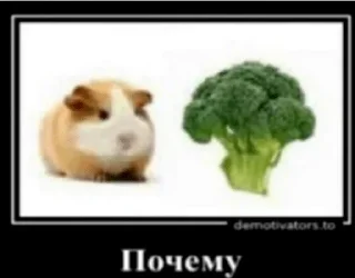 😟 emoji Ржомба. Больше @stickbydark Telegram sticker 10 of 56