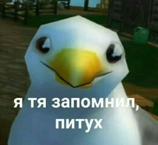 🌟 emoji Папуги Telegram sticker 7 of 119