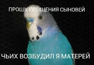 🌟 emoji Папуги Telegram sticker 21 of 119