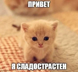 🧐 emoji Крапива Telegram sticker 24 of 107