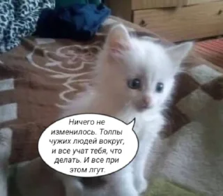 😼 emoji Крапива Telegram sticker 22 of 107