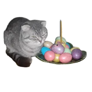 Sticker from Ксюша