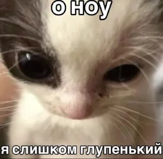 🌟 emoji Личный пак А давай2 Telegram sticker 15 of 56