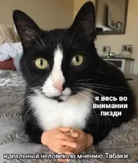 📚 emoji Дом, в котором живут мемы Telegram sticker 15 of 20