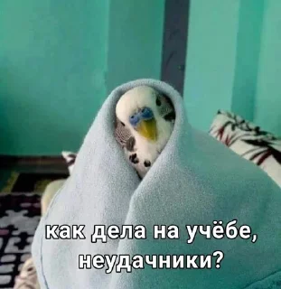 🥳 emoji Няшечки Telegram sticker 19 of 56