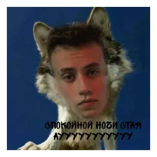 🐺 emoji тринадцать стай Telegram sticker 4 of 7