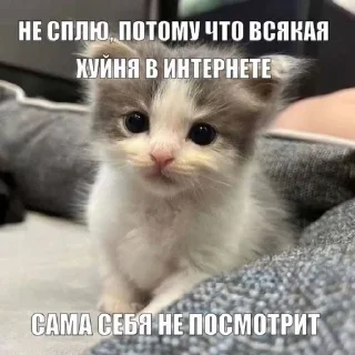 📱 emoji Котеке 2 Telegram sticker 15 of 90