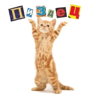 🌟 emoji kets_chlen Telegram sticker 5 of 53