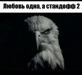🌟 emoji Насрать мемы срочно вконтакте Telegram sticker 16 of 120