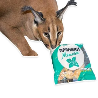 🥟 emoji Pack of neonAnon Telegram sticker 21 of 46