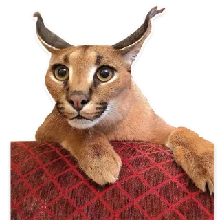🤔 emoji Pack of neonAnon Telegram sticker 20 of 46