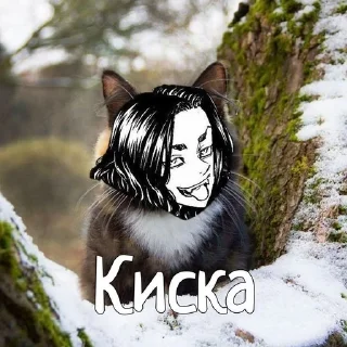 Sticker from Баджи  @Fhuiiiy