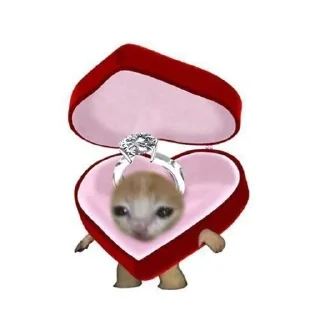 💍 emoji киски Telegram sticker 10 of 34