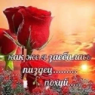 🌹 emoji стикеры Telegram sticker 24 of 78