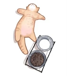🥛 emoji мемокотики!! Telegram sticker 21 of 53
