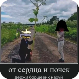 🍃 emoji база(создано азалькои) Telegram sticker 15 of 114