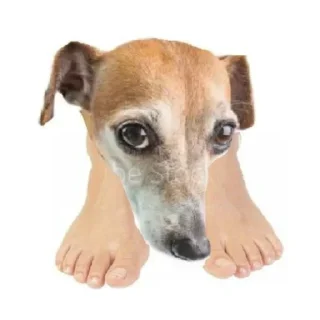 🥺 emoji обосраться Telegram sticker 5 of 95