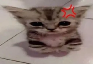😡 emoji обосраться Telegram sticker 15 of 95