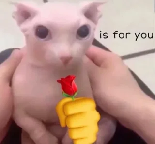 🌹 emoji обосраться Telegram sticker 14 of 95