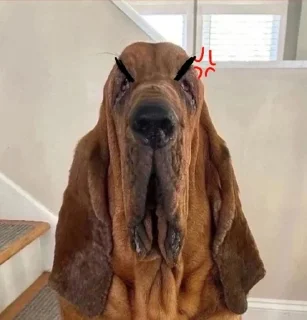 😡 emoji сапака от @cmhellu Telegram sticker 4 of 11