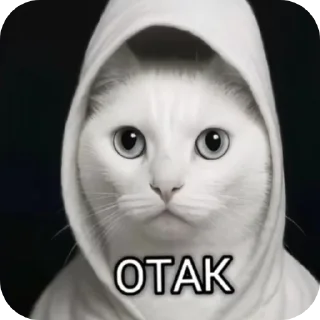 🐱 emoji Мемасыки Telegram sticker 12 of 29