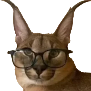 🤓 emoji Большой Шлепа @trafslybot Telegram sticker 17 of 25