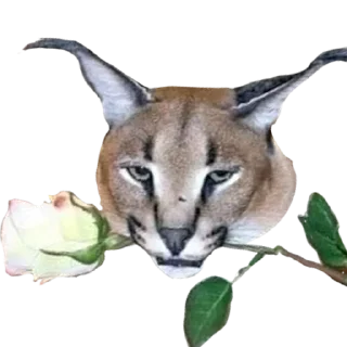 💋 emoji Большой Шлепа @trafslybot Telegram sticker 8 of 25
