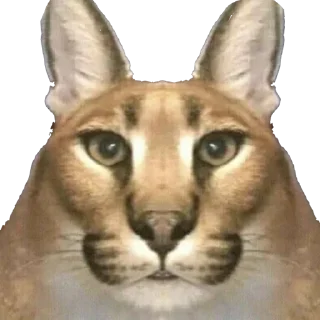 😳 emoji Большой Шлепа @trafslybot Telegram sticker 14 of 25