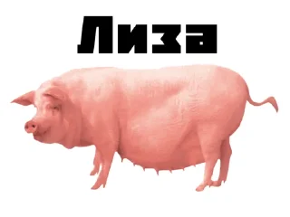 🐖 emoji RC Telegram sticker 12 of 26
