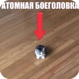 Sticker from Котенки