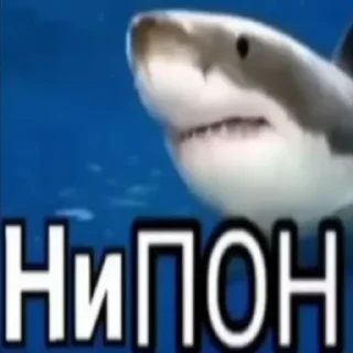 Sticker from Пон: @Pea4_stickerbot