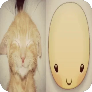 Sticker from котеки сабачке