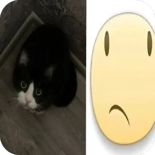 🫥 emoji котеки сабачке Telegram sticker 13 of 70