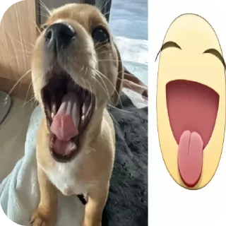 🐶 emoji котеки сабачке Telegram sticker 6 of 70