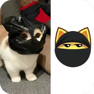 🫥 emoji котеки сабачке Telegram sticker 22 of 70