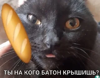 🥖 emoji Басик Шелби Telegram sticker 14 of 14