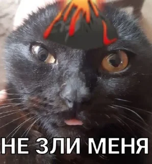 ☹️ emoji Басик Шелби Telegram sticker 10 of 14