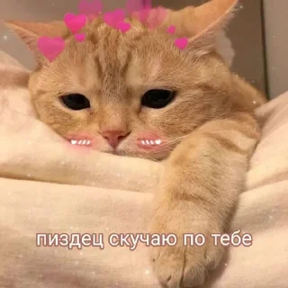 Sticker from <3