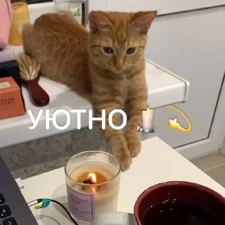 😊 emoji Ириска Telegram sticker 10 of 24
