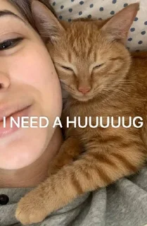 🤗 emoji Ириска Telegram sticker 24 of 24