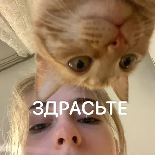 👋 emoji Ириска Telegram sticker 17 of 24