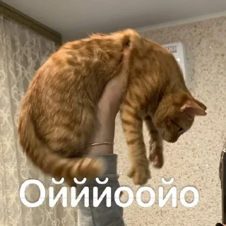 🌟 emoji Ириска Telegram sticker 8 of 24