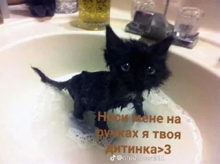 😊 emoji ❤️Котеечки-Ван-Лав❤️ Telegram sticker 24 of 47