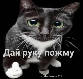 😌 emoji ❤️Котеечки-Ван-Лав❤️ Telegram sticker 17 of 47